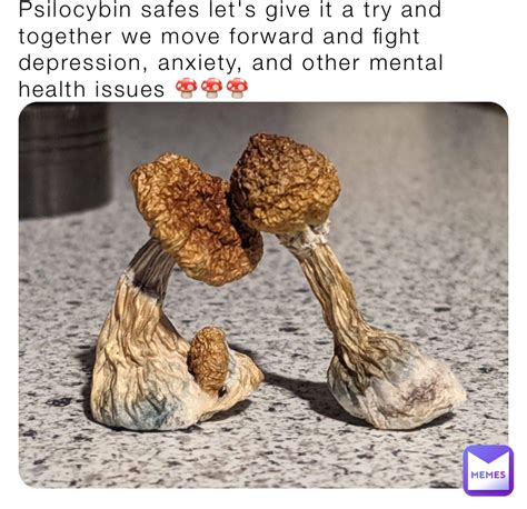 magic mushroom memes